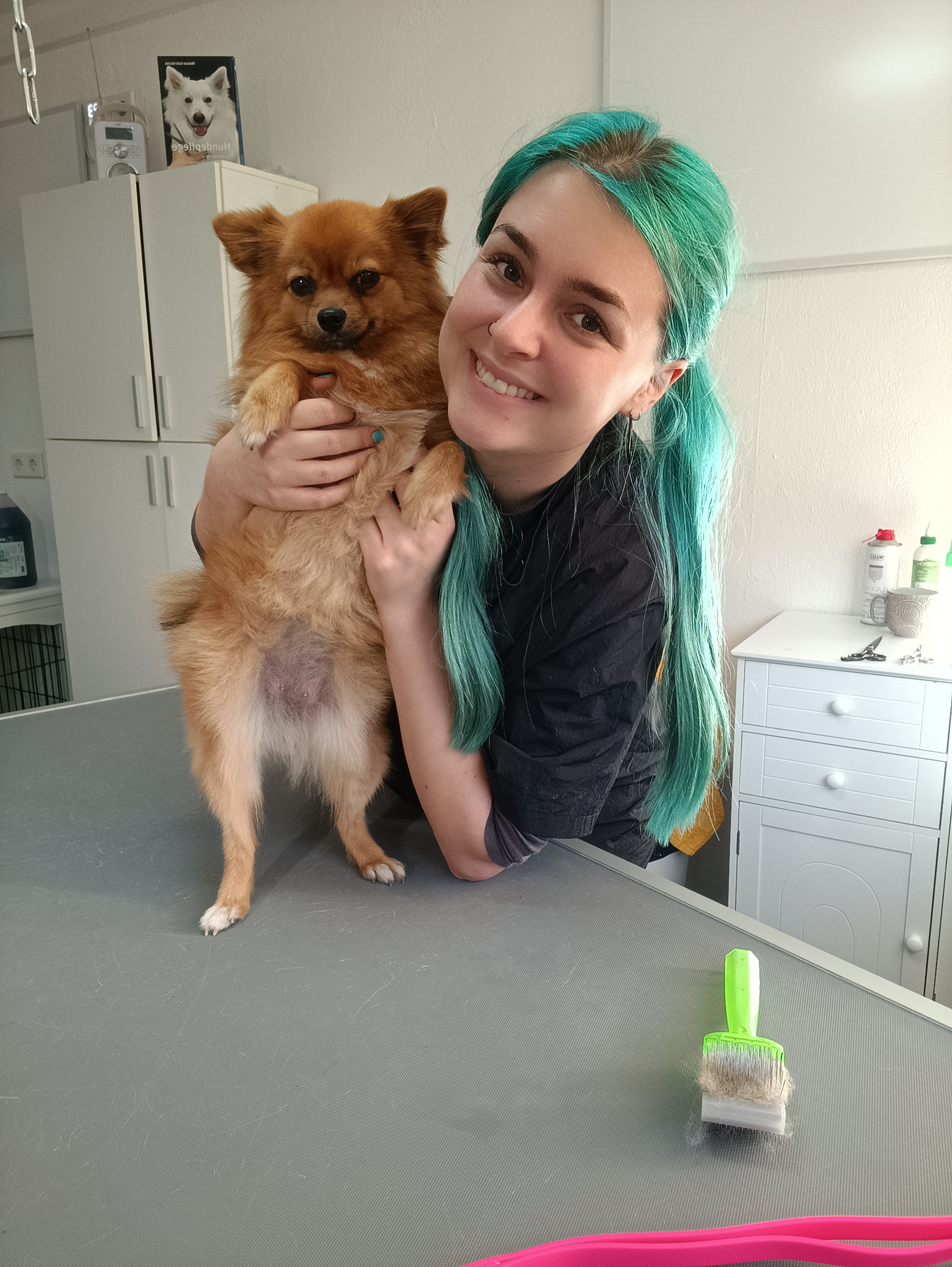 Hund bei der Fellpflege